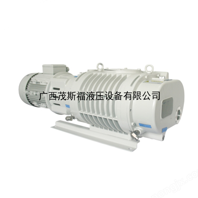 連云港普諾克PNK MR 9000T羅茨真空泵