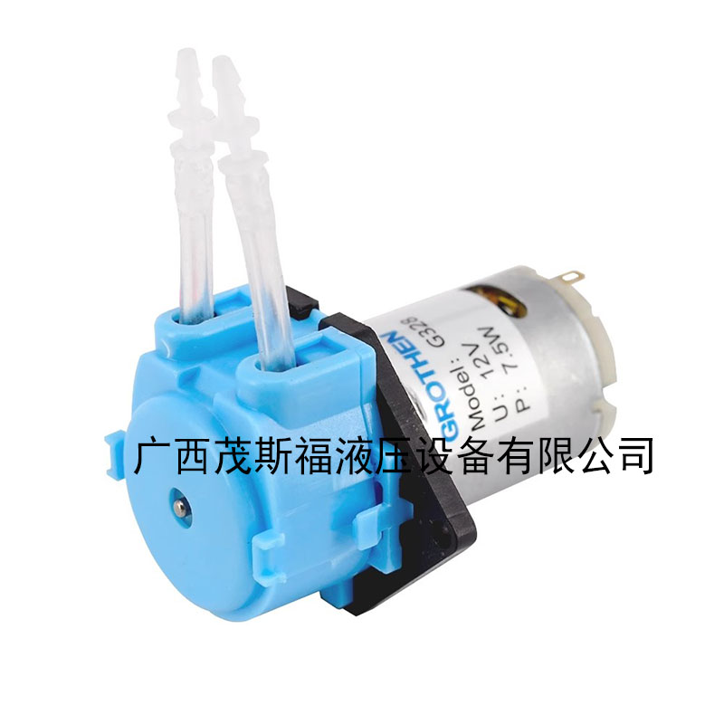 連云港蠕動泵12V 24V自動微型水泵