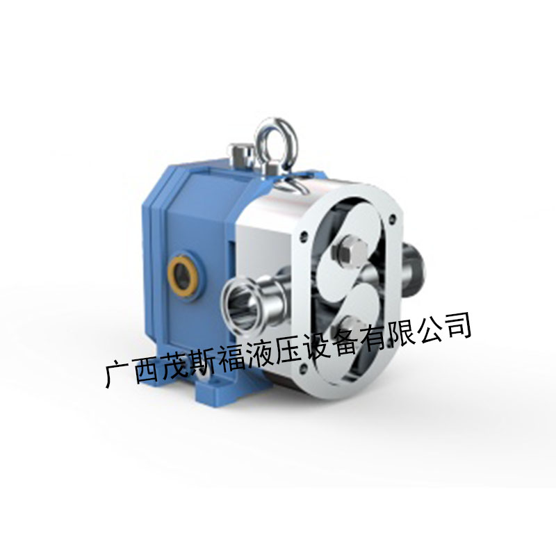 懷化帕普生轉(zhuǎn)子泵 