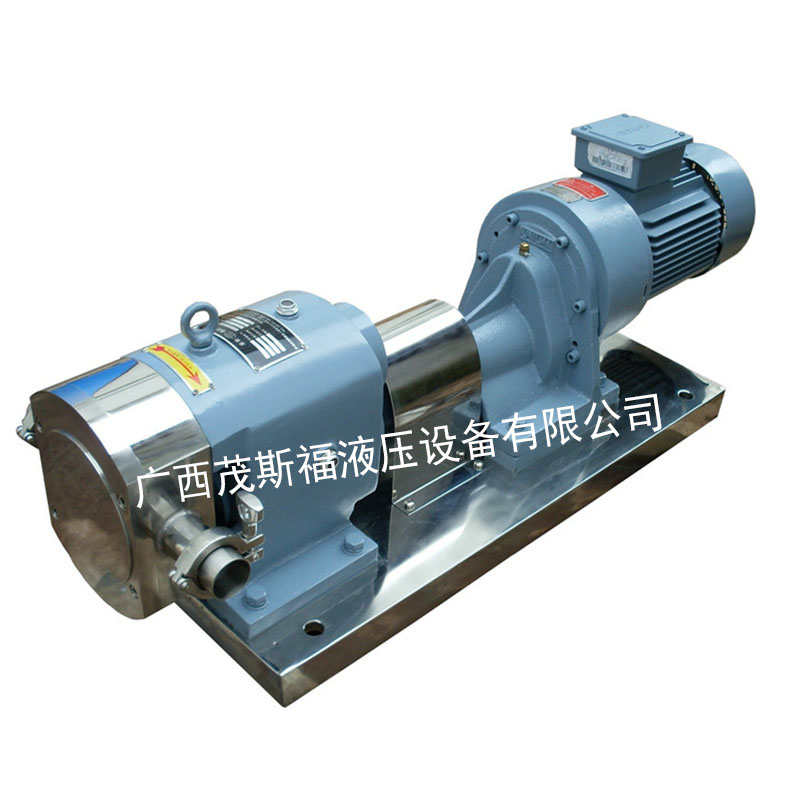 連云港QBY/K-65不銹鋼轉(zhuǎn)子泵 