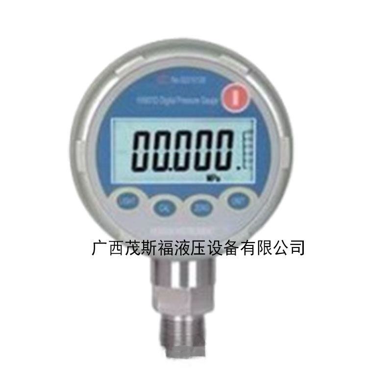 莆田數(shù)字壓力計(jì)HX601 