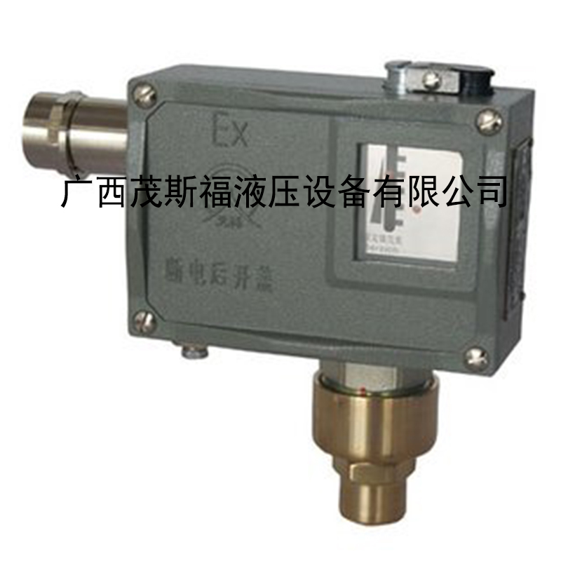 TLD-02壓力開(kāi)關(guān) .jpg