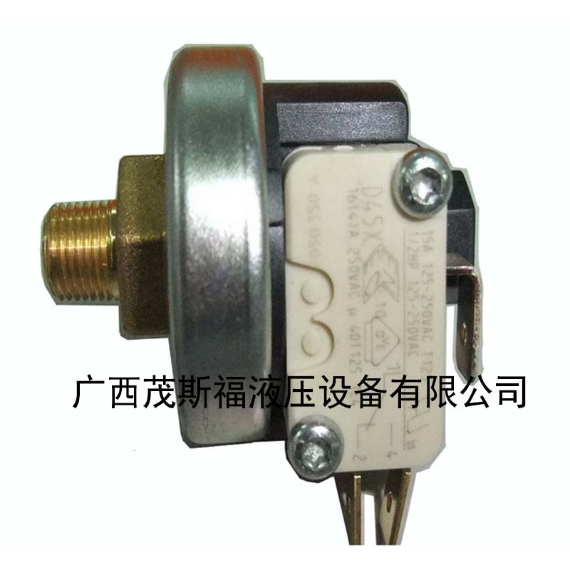 XP110系列高壓蒸汽壓力開關(guān) .jpg